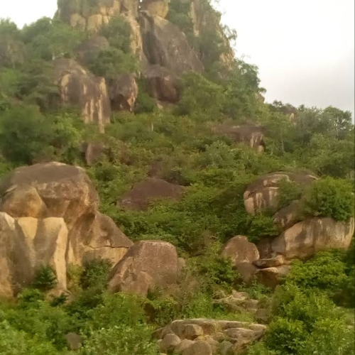 Le mont Gnala